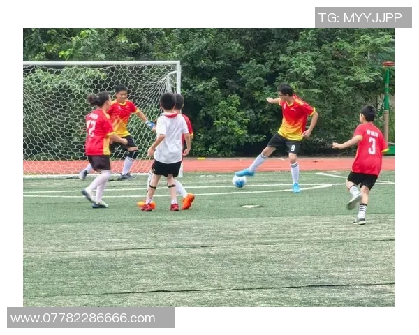 成都足球队的崛起与发展探索聚焦足球力量的背后故事