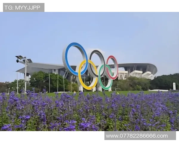 广州排球队耐力争议引发热议球迷与专家各执己见探讨背后原因