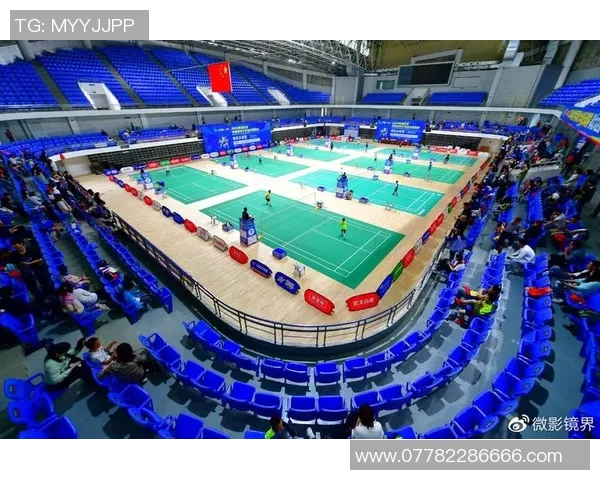 武汉羽毛球队状态对比深度解析及未来发展趋势探讨 武汉羽毛球队状态对比深度解析及未来发展趋势探讨