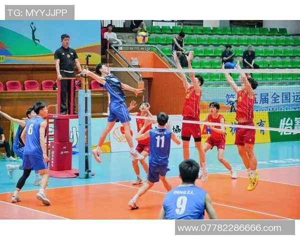 重庆排球队在全运会中的默契配合与战术执行分析