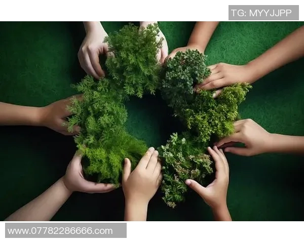 足球巨星携手共筑绿色未来拯救地球行动启动 足球巨星携手共筑绿色未来拯救地球行动启动