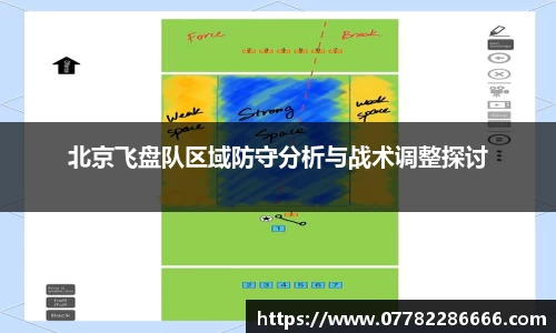 北京飞盘队区域防守分析与战术调整探讨