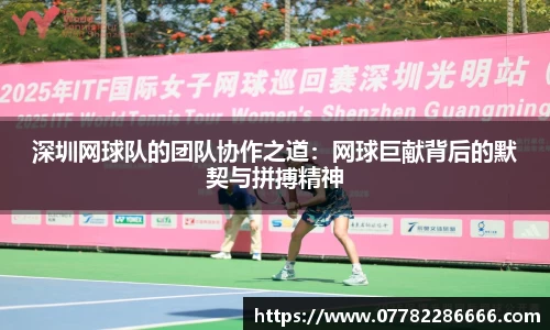 深圳网球队的团队协作之道：网球巨献背后的默契与拼搏精神