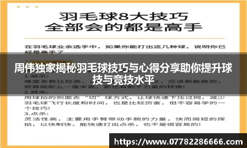 周伟独家揭秘羽毛球技巧与心得分享助你提升球技与竞技水平